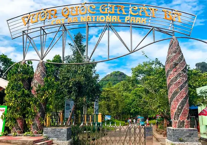 Tổng Quan Vườn Quốc Gia Cát Bà 2025 Tổng Quan Vườn Quốc Gia Cát Bà 2025