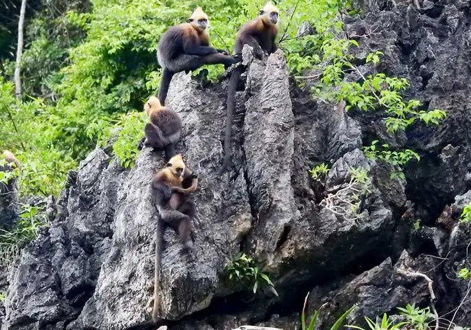 Tham Quan Hệ Sinh Thái & Hang Động Tham Quan Hệ Sinh Thái & Hang Động