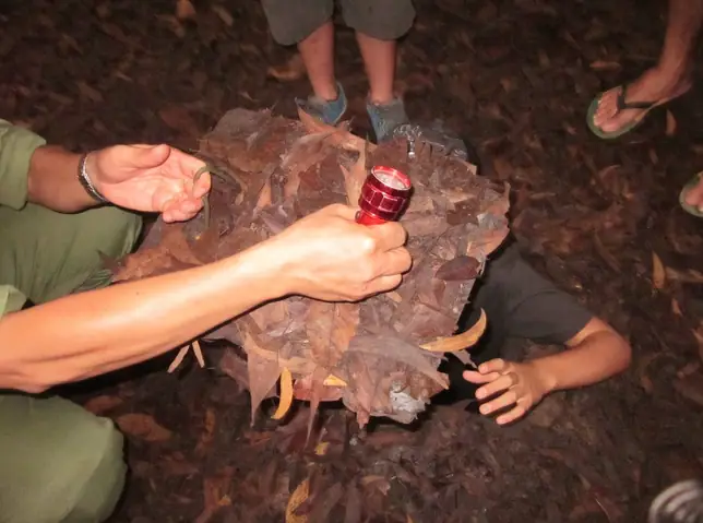 Cu Chi Tunnels With Kids