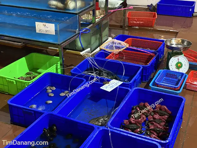 Vựa Hải Sản Đường Võ Văn Kiệt Vựa Hải Sản Đường Võ Văn Kiệt