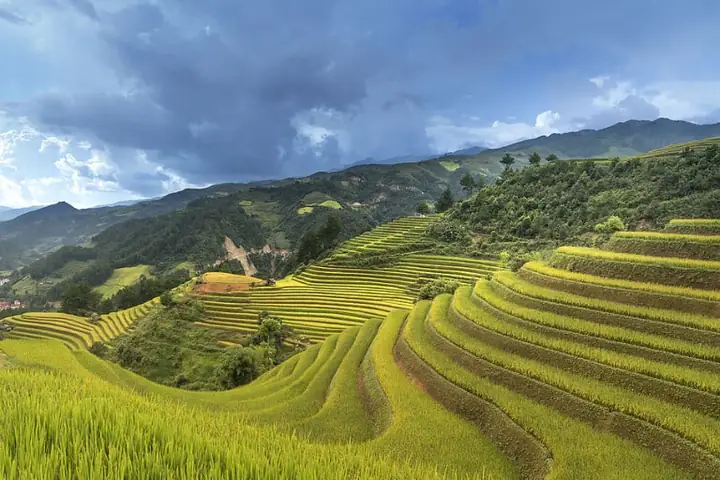 September To October: Ha Giang With Golden Rice Paddles