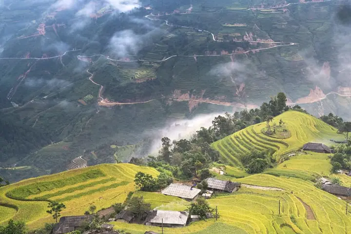 September To October: Ha Giang With Golden Rice Paddles