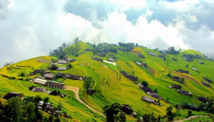 Xe Minh Phùng Đà Lạt Hà Nội: Đánh Giá Chi Tiết & Kinh Nghiệm Di Chuyển Xe Minh Phùng Đà Lạt Hà Nội