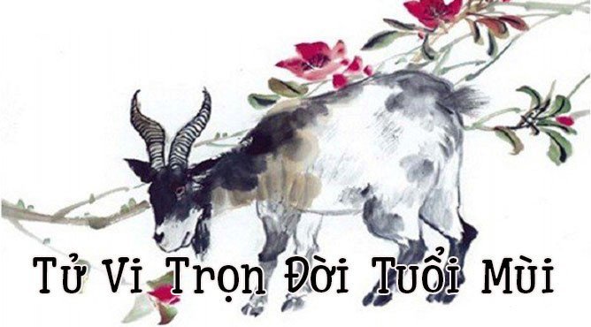 Đặc trưng tính cách của tuổi Kỷ Mùi qua góc nhìn tử vi