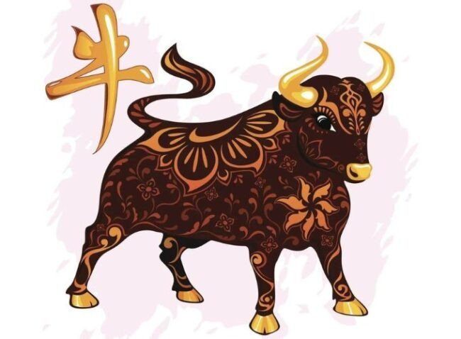 Hình ảnh con trâu, biểu tượng của người sinh năm 2009 là tuổi con gì Kỷ Sửu, tượng trưng cho sự kiên định và mạnh mẽ.