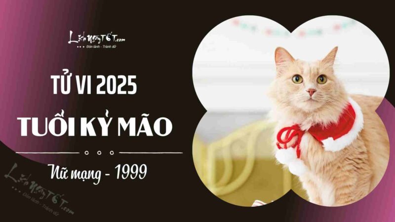 Hình ảnh minh họa phụ nữ tuổi Kỷ Mão 1999 tìm hiểu tử vi tuổi Kỷ Mão năm 2025 nữ mạng để luận giải vận trình