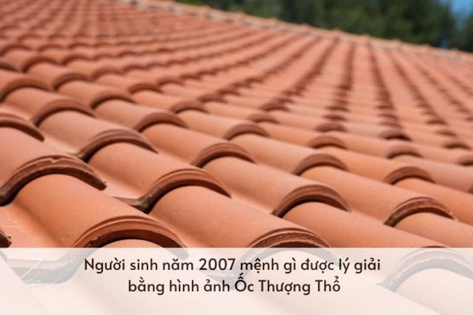 Ý nghĩa của Ốc Thượng Thổ với người sinh năm 2007
