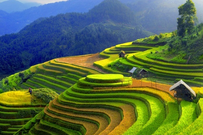 Địa danh là gì? Khám phá ý nghĩa và vai trò của địa danh trong đời sống Bản đồ với nhiều địa danh được đánh dấu
