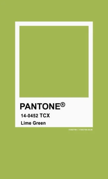 Màu Cốm: Sắc Xanh Thanh Mát Cho Cuộc Sống Hiện Đại 2026 Bảng màu Pantone với sắc xanh cốm