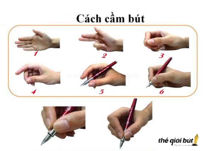 Bí Quyết Luyện Chữ Đẹp: Hướng Dẫn Chi Tiết Từ A-Z 2026