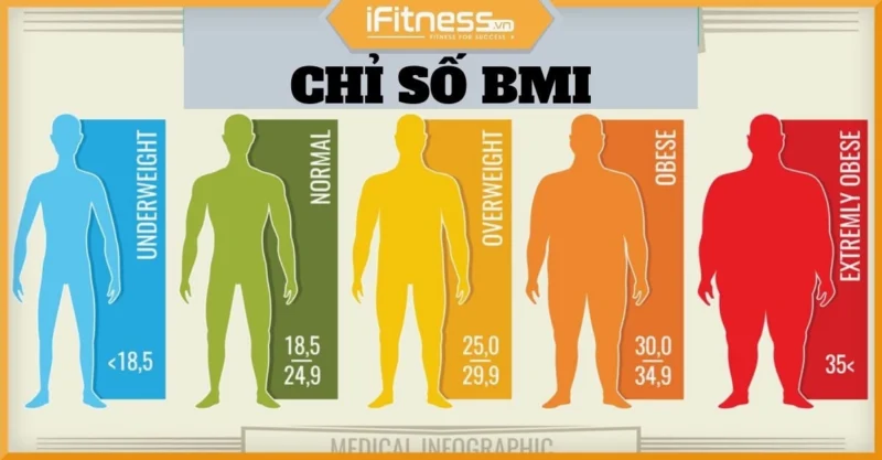 Biểu đồ BMI và các mức độ