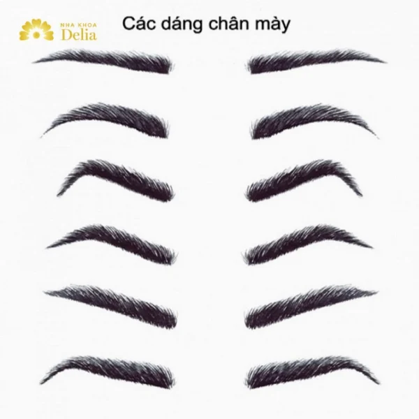 Các Kiểu Lông Mày: Hướng Dẫn Chọn Dáng Chuẩn Cho Mọi Khuôn Mặt Các kiểu lông mày phổ biến