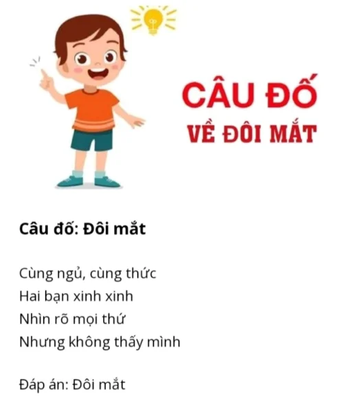 100 Câu Đố Vui Hài Hước: Thử Thách Trí Tuệ 2026 Câu đố vui có đáp án về các bộ phận trên cơ thể