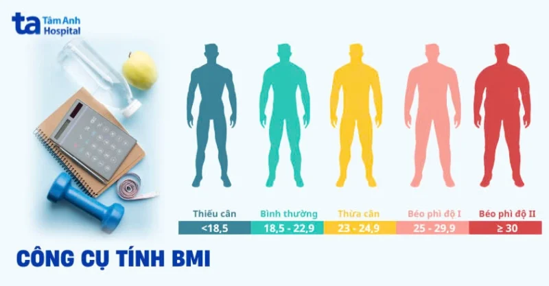 Công Cụ Tính BMI Online: Đánh Giá Sức Khỏe Chính Xác 2026