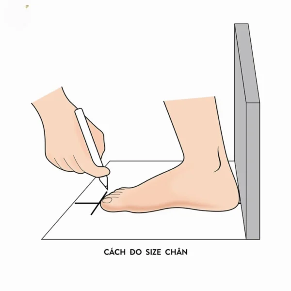 Hướng Dẫn Chi Tiết Cách Đo Chiều Dài Chân Chuẩn Xác 2026 Hướng Dẫn Chi Tiết Cách Đo Chiều Dài Chân Chuẩn Xác 2026