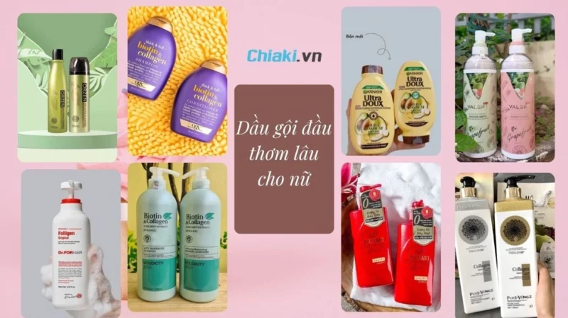 Khám phá các loại dầu gội đầu nữ: Bí quyết cho mái tóc óng mượt 2026