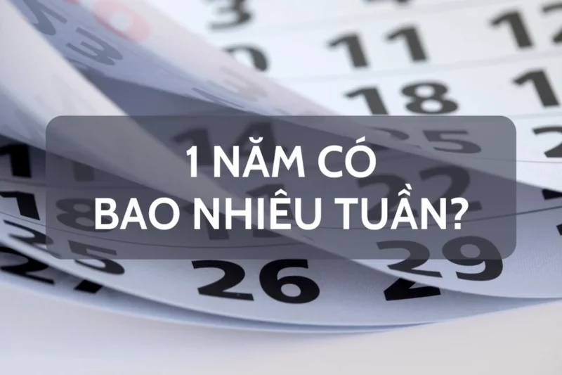 Số lượng tuần trong một năm là bao nhiêu? Giải đáp chi tiết 2026 Lịch với các tuần được đánh dấu