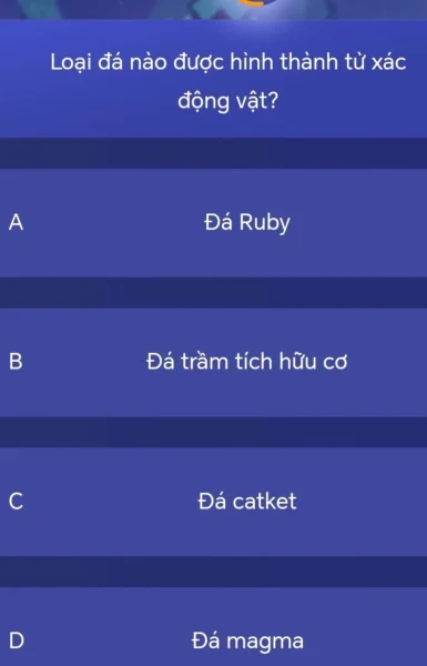 Loại Đá Nào Được Hình Thành Từ Xác Động Vật? Loại Đá Nào Được Hình Thành Từ Xác Động Vật?