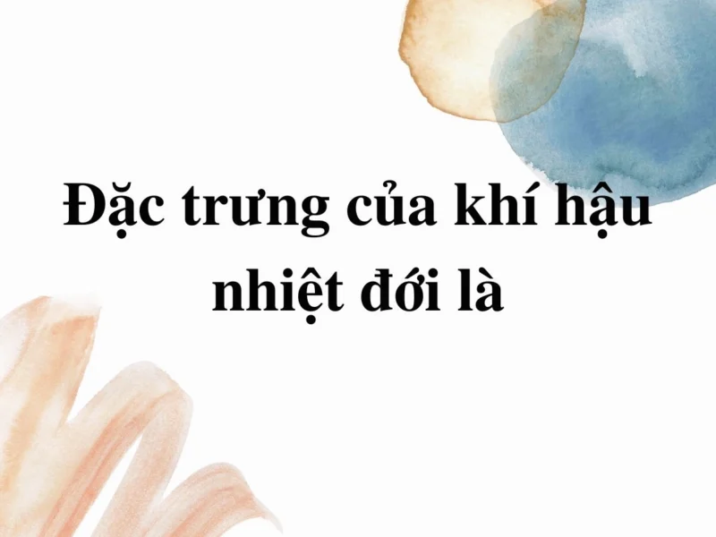 Nhiệt Đới Là Gì? Khám Phá Vùng Đất Rực Rỡ Của Trái Đất Mặt trời chiếu rọi vùng nhiệt đới