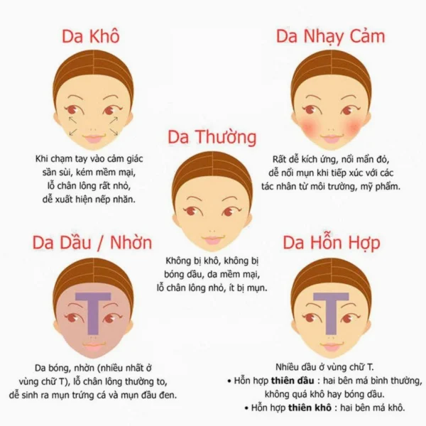 Minh họa các loại da mặt khác nhau
