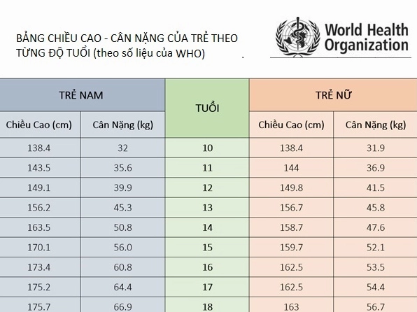 Minh họa chỉ số BMI