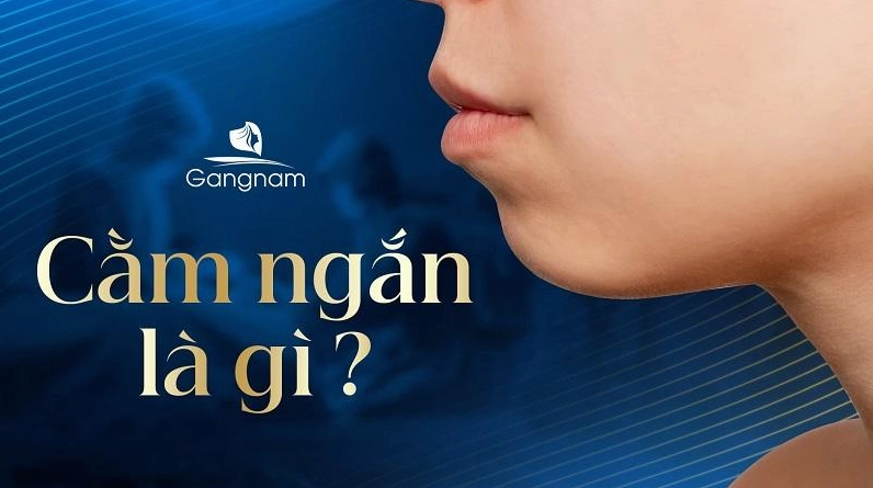 Cằm Ngắn Che Khuyết Điểm Sao Cho Đúng? Bí Kíp Tự Tin Đón Xuân 2026 Minh họa khuôn mặt với tỉ lệ cằm không cân đối