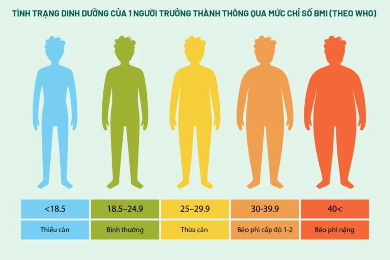 Minh họa tình trạng dinh dưỡng qua chỉ số BMI