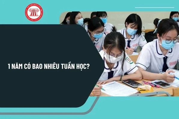 Một năm học có bao nhiêu tuần
