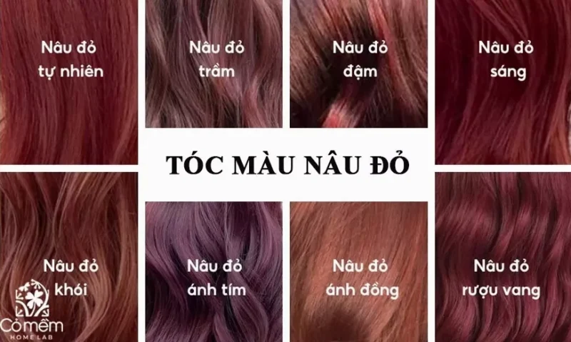 Nâu Đỏ Ánh Tím: Xu Hướng Tóc Hot Nhất 2026 Bạn Phải Thử