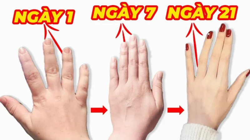 Bí Quyết Sở Hữu Đôi Tay Thon Dài Chuẩn Đẹp Năm 2026 Người tập các bài tập làm thon tay