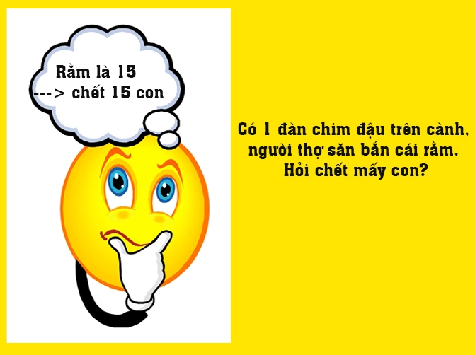 Những Câu Đố Mẹo Khó Nhất: Thử Thách Trí Tuệ Đỉnh Cao 2026 Những câu đố mẹo khó nhất kích thích tư duy