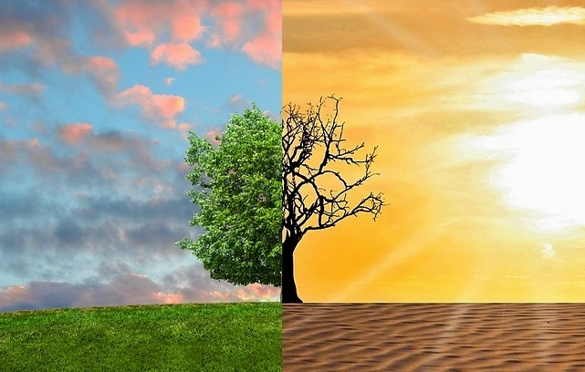 Phân biệt Thời tiết và Khí hậu: Hiểu rõ để chuẩn bị tốt hơn