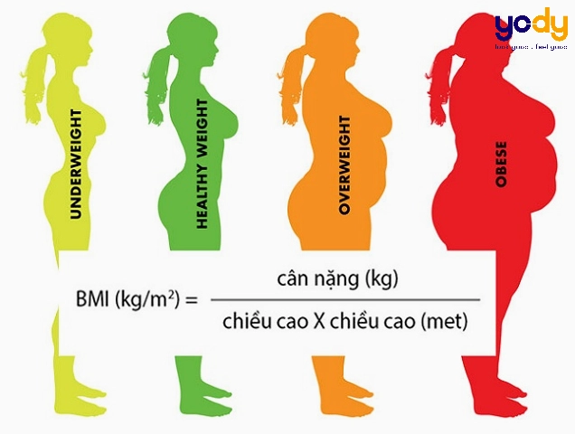 Nữ 1m58 nặng bao nhiêu kg là đẹp theo chuẩn 2026? Phụ nữ cao 1m58 nên nặng bao nhiêu kg để có vóc dáng đẹp