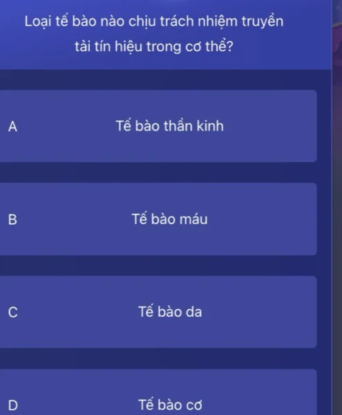 Loại Tế Bào Nào Chịu Trách Nhiệm Truyền Tải Tín Hiệu Trong Cơ Thể? Sơ đồ cấu trúc một tế bào thần kinh (neuron)