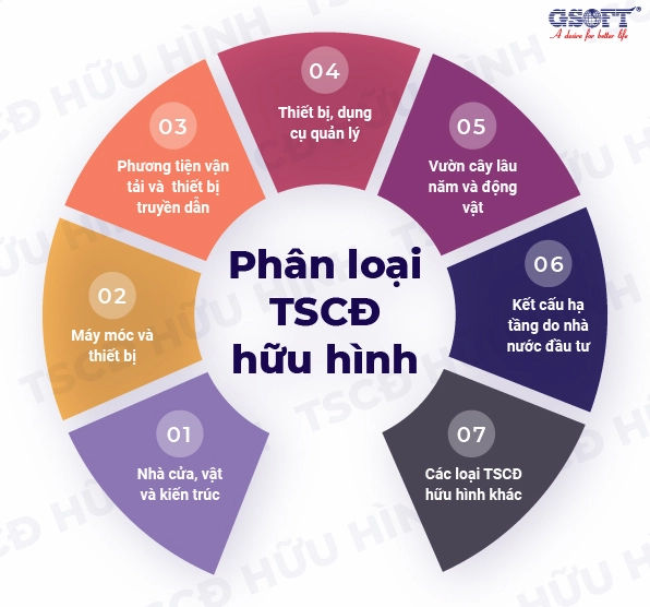 Tài sản hữu hình trong doanh nghiệp
