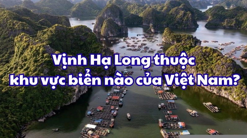 Vịnh Hạ Long Thuộc Khu Vực Biển Nào Của Việt Nam? Khám Phá Chi Tiết Toàn cảnh Vịnh Hạ Long với hàng nghìn đảo đá vôi kỳ vĩ