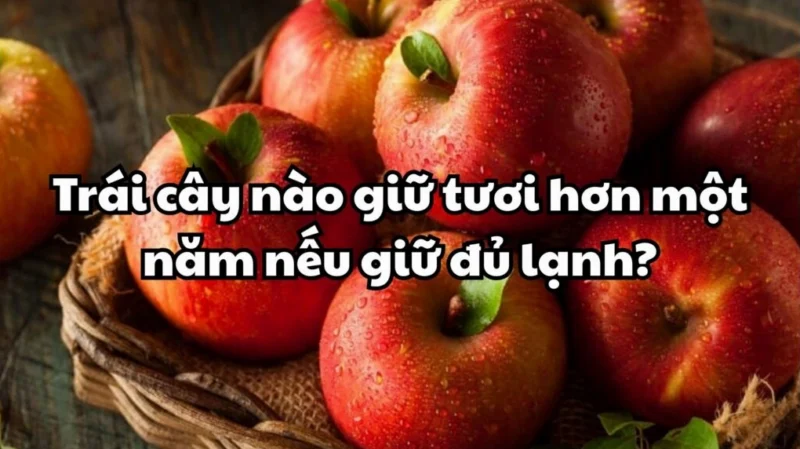 Trái Cây Nào Giữ Tươi Hơn 1 Năm Trong Tủ Lạnh? Trái cây tươi giữ lạnh lâu năm