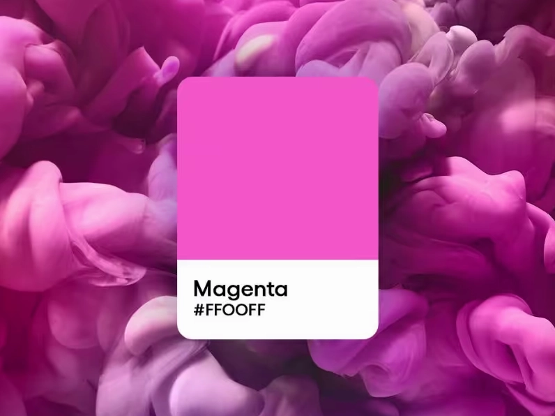 Màu Magenta Là Màu Gì? Khám Phá Sức Hút Độc Đáo Trang phục màu magenta ấn tượng