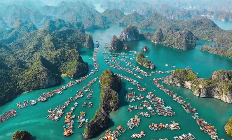 Vẻ đẹp hoang sơ của Vịnh Lan Hạ, Cát Bà